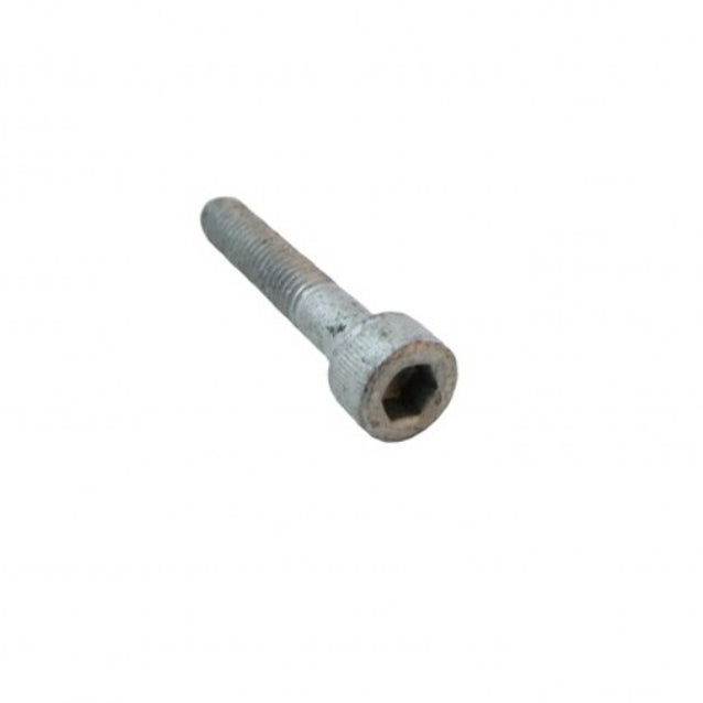 0080-0021 - SCREW, CAP