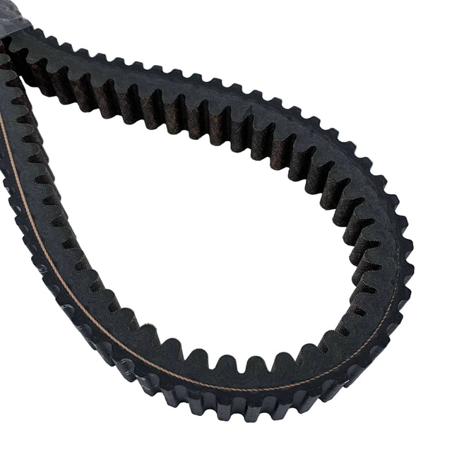 127-159HD - DRIVE BELT, 31MM x 1134MM-HEAVY DUTY - AURORA / CONQ PRO