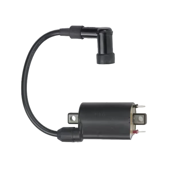 24 519 02-S - COIL, IGNITION - AEGIS LH775 EFI
