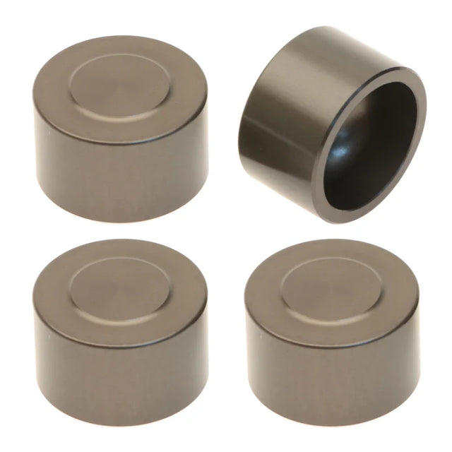 ARG9840543 - PISTON KIT, CALIPER - HAYES - ARGO PARTS