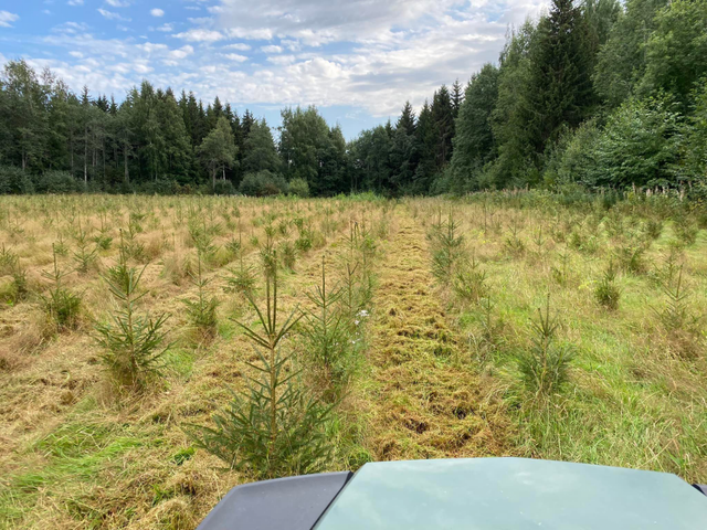 74130464 - RAMMY FLAIL MOWER 120 ATV 306cc - USA