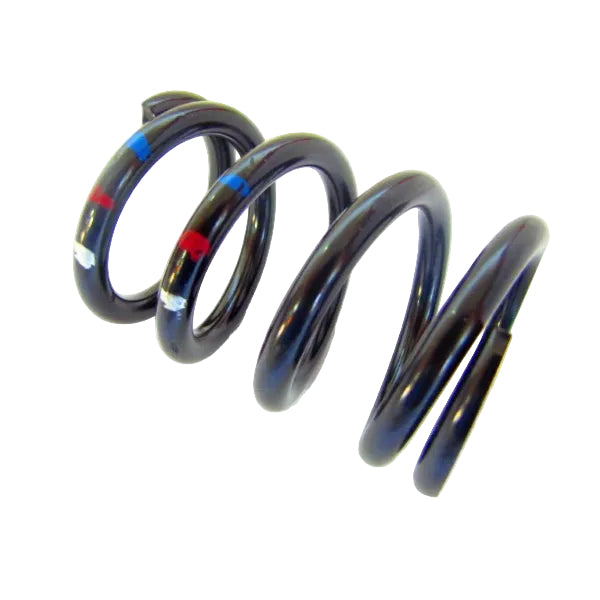 X-5243212 - SPRING - BLACK