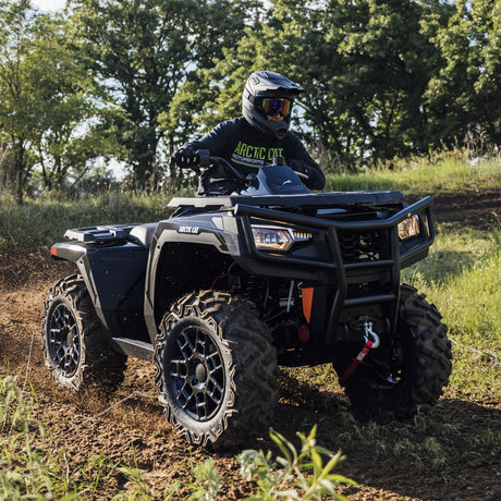 Arctic Cat Alterra 600