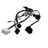 10022C - HARNESS, MAIN, AURORA - ARGO PARTS - 2