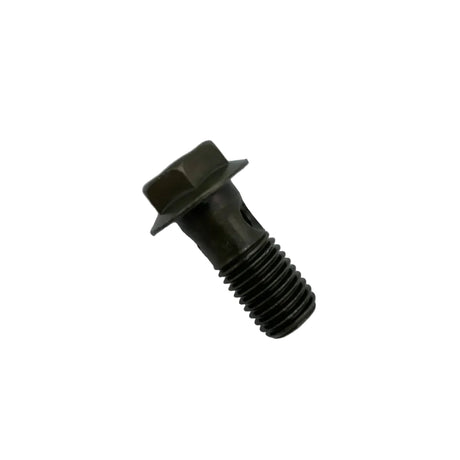 10202G - BANJO BOLT M10X1.25X22L - ARGO PARTS 