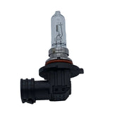 10622G - BULB 60W