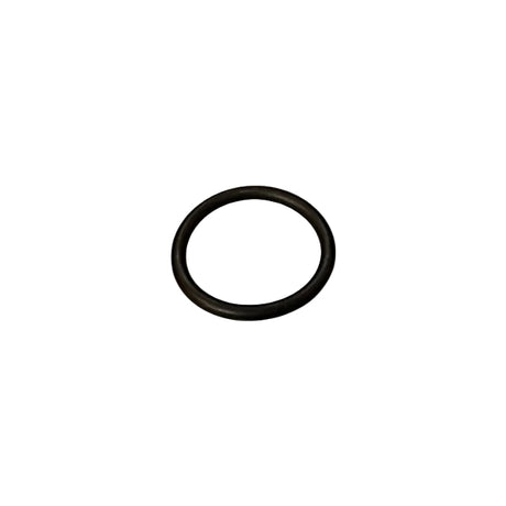 200-0013-001-S05 -  O-RING, AS568 - 118 - ARGO PARTS 
