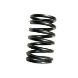 24 089 02-S - SPRING, VALVE