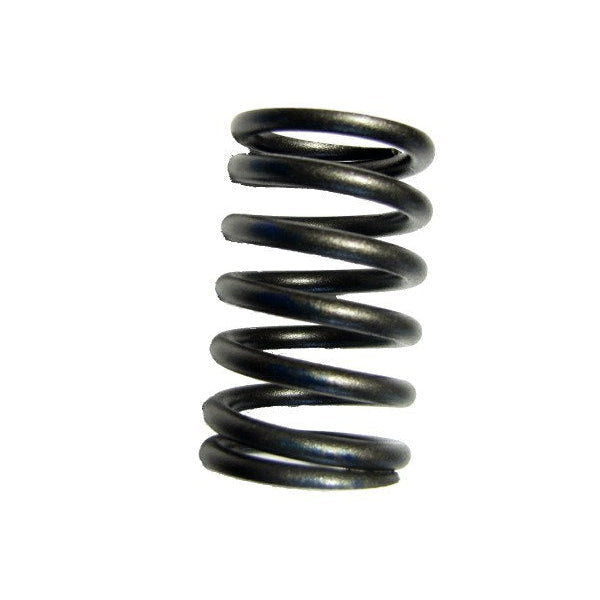24 089 02-S - SPRING, VALVE