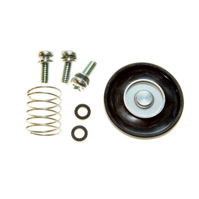 24 757 08-S - REPAIR ACCELERATOR PUMP, CARBURETOR - AEGIS LH