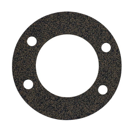 605-89 - GASKET, FLANGE - OUTER - ARGO PARTS 