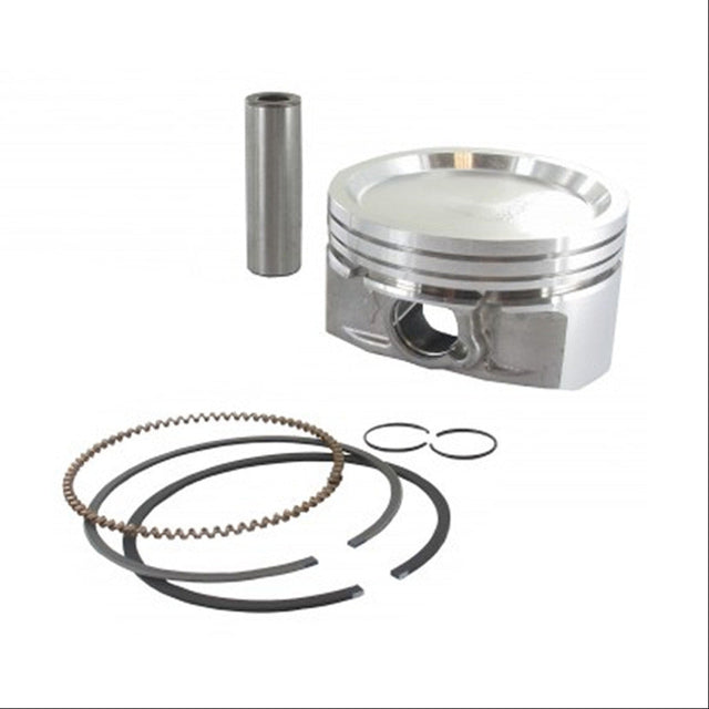843805 - PISTON ASSY