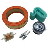 MK-101 - BRIGGS VANGUARD 23HP CARB ENGINE MAINTENANCE KIT